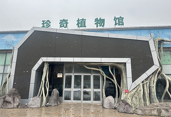 珍奇植物馆第 24 张图片