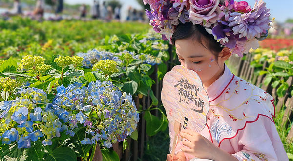 音乐百花谷