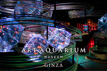 银座艺术水族馆美术馆第 2 张图片