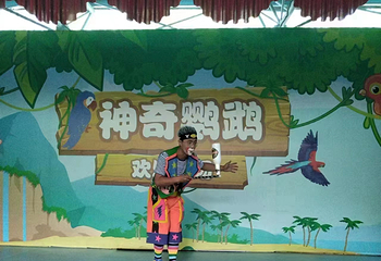沈阳鸟岛第 20 张图片