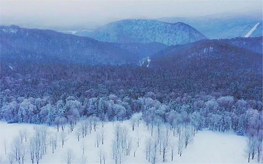 雪乡狗熊岭景区第 41 张图片