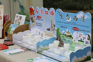 西溪国家湿地公园第 64 张图片
