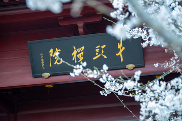 牛首山文化旅游区第 168 张图片