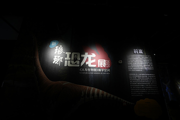新琅琊恐龙展-《人与生物学》展学空间第 14 张图片