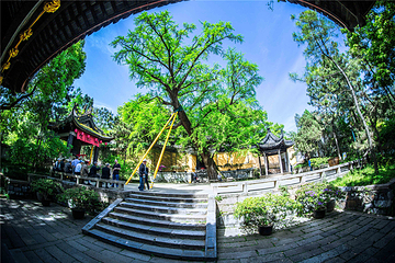 惠山古镇·寄畅园第 12 张图片