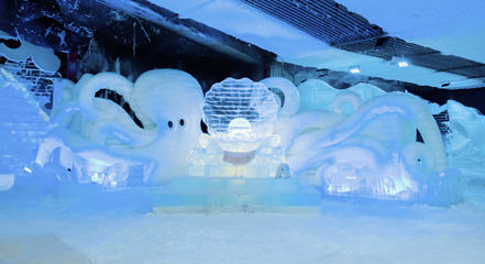 无锡热雪奇迹第 47 张图片