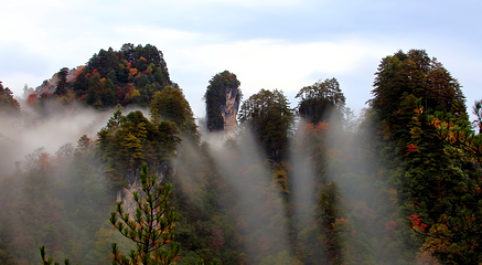 光雾山旅游景区第 98 张图片
