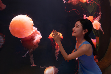 三亚亚特兰蒂斯失落的空间水族馆第 57 张图片