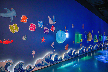 南京海昌海洋探索馆第 39 张图片