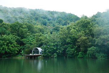 五指山方诺寨热带雨林第 7 张图片