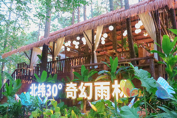 茅山森林世界第 83 张图片