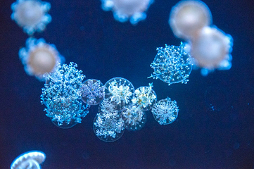 澎湖水族馆第 16 张图片