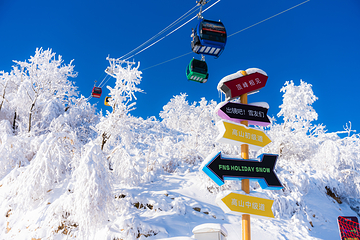 洛阳伏牛山四季旅游度假区第 2 张图片
