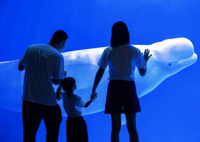 海合安成都极地海洋公园