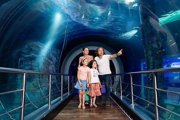 墨尔本水族馆第 18 张图片
