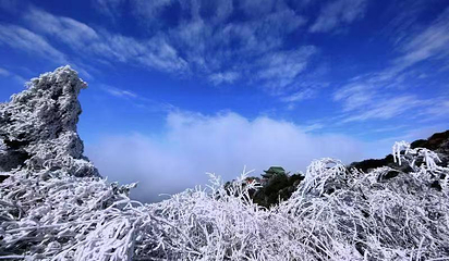 莽山旅游区国家森林公园第 26 张图片