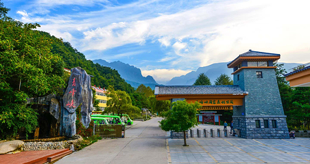 青峰峡森林公园第 7 张图片