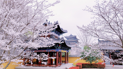 三国水浒景区(中央电视台无锡影视基地)第 50 张图片