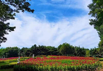 北京国际鲜花港第 23 张图片