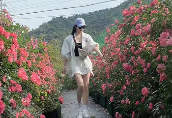 莫干6373阳光乐园第 14 张图片