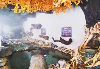 吉林森工仙人桥温泉第 33 张图片