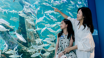 郑州海昌海洋公园第 41 张图片