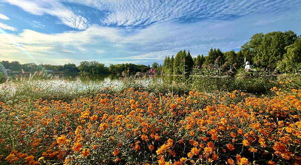北京国际鲜花港
