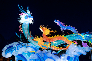 中国秦淮灯会主会场(白鹭洲公园)