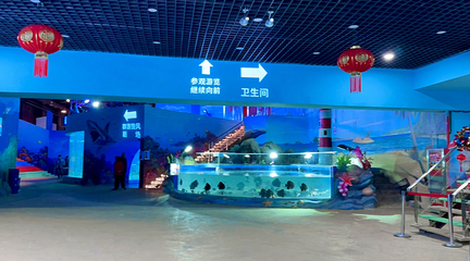 梦幻海洋企鹅馆第 86 张图片