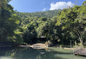 霸王岭第 34 张图片