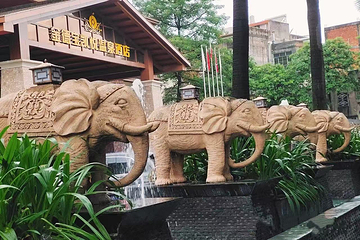 丰顺金德宝凯悦国际温泉第 27 张图片
