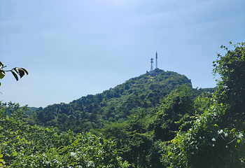 鲁山国家森林公园第 38 张图片