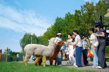 光合谷旅游度假区第 15 张图片