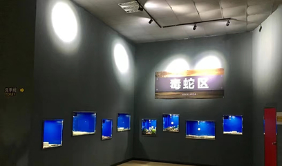 蛇文化展览馆第 16 张图片