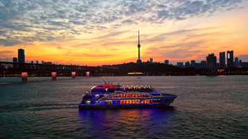 武汉文旅·东湖号游船(长江海豚)