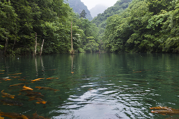千佛山景区第 82 张图片