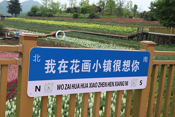 羊昌花画小镇第 1 张图片