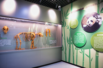 龙池坪生物多样性研学基地第 8 张图片