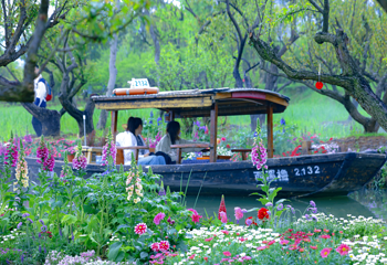 西溪国家湿地公园第 6 张图片