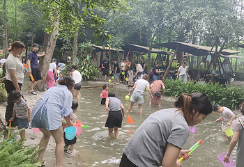 清水里森林营地第 25 张图片