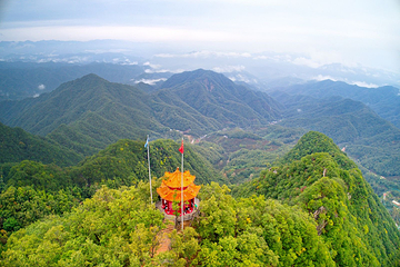 栾川竹海野生动物园第 55 张图片