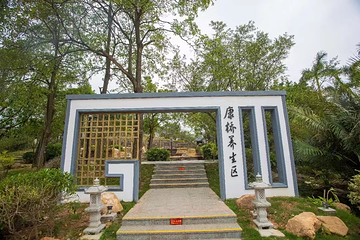 台山康桥森林温泉谷第 36 张图片