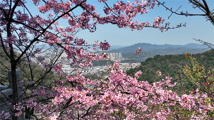 王仙岭旅游风景区第 11 张图片