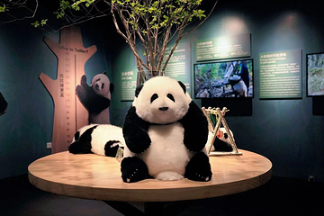 杜威中心Dewey Center第 2 张图片
