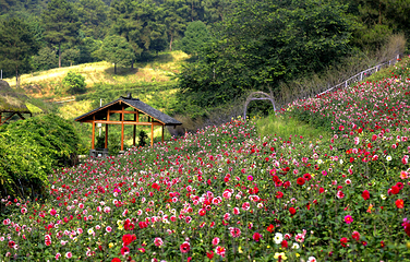 五华山旅游区第 40 张图片