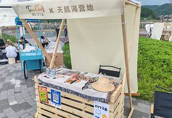 太子城国际文旅小镇第 17 张图片