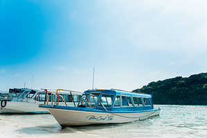 Blue Coral 蓝珊瑚玻璃游船