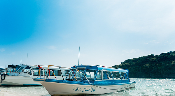 Blue Coral 蓝珊瑚玻璃游船