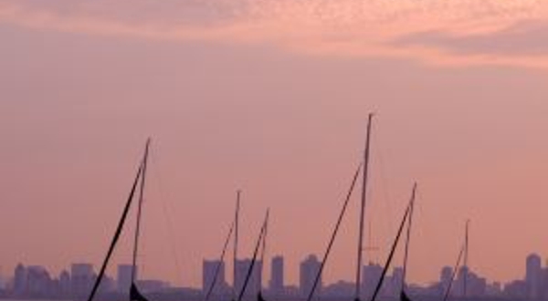 酋纳柯test☆*-★