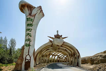 白杨河大峡谷第 4 张图片